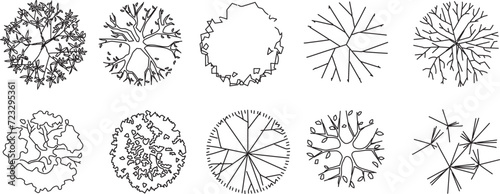 set of flat designs of architectural trees, top view