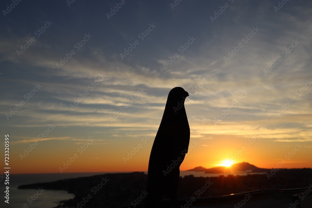 Fototapeta premium silhouette of a person