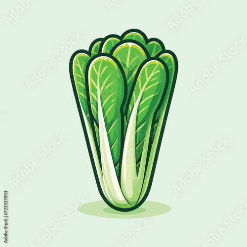 Romaine Lettuce Cartoon Flat Vector Illustration