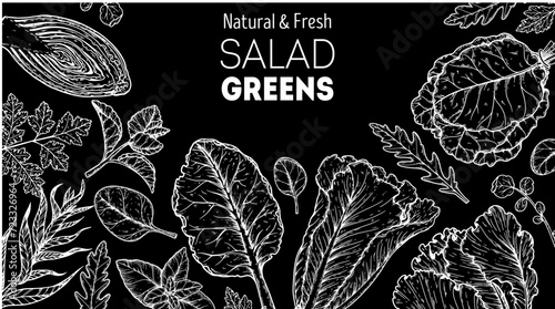 Salad greens sketch set. Hand drawn vector illustration. Cooking salad. Vegan food.