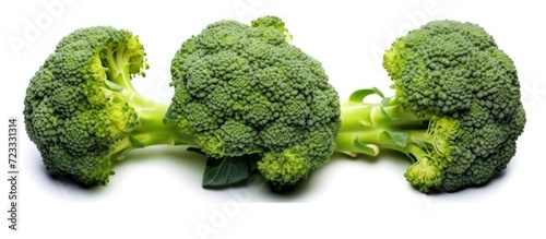 Portrait of fresh green broccoli isolated on white background