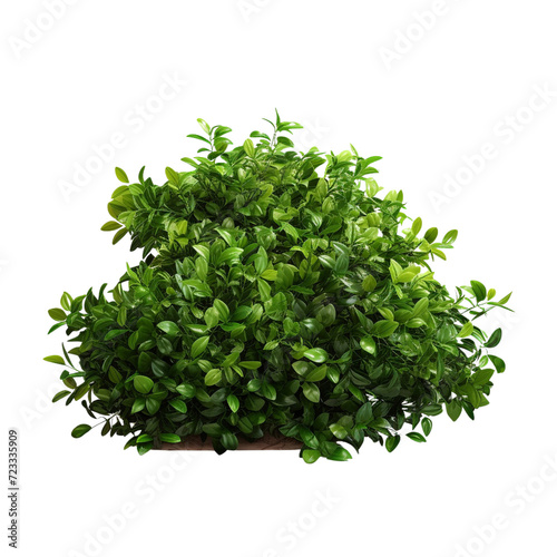Green bush clip art
