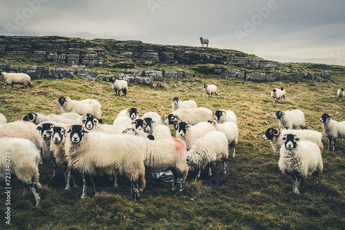 Walking the Settle Loop in the Yorkshire Dales photo