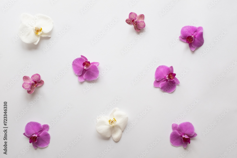 Naklejka premium Pink and tiger and white orchid flowers lie on a grey background for publication, poster, calendar, post, screensaver, wallpaper, postcard, banner, cover, website, top view. High quality photo