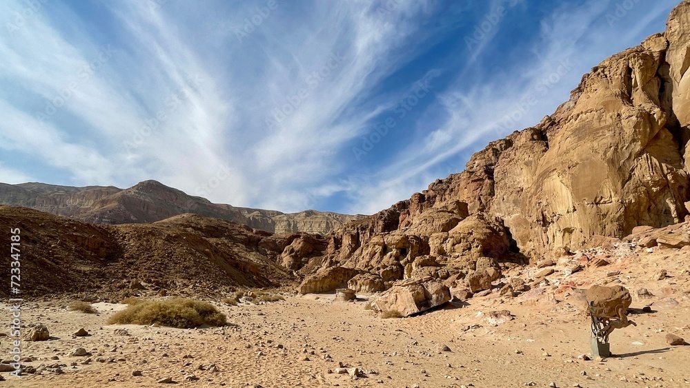 landscape in the desert