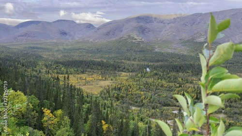 Autumn Arctic landscape in the Khibiny mountains. Kirovsk, Kola Peninsula, Polar Russia. Autumn colorful forest in the Arctic, Mountain hikes and adventures. 4K photo