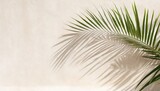 shadow of palm leaves on white concrete light beige wall