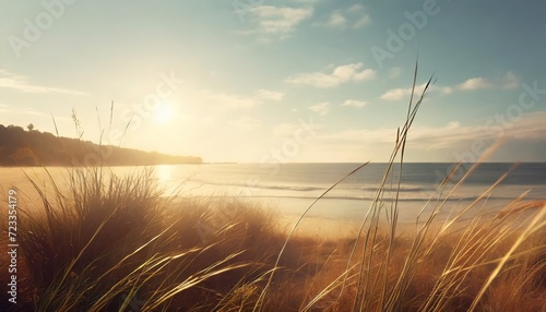 serene seaside with dry grass warm sun tones soft shadows and calm serene atmosphere