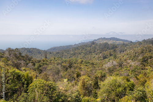 aerial view of green forest landscape from the top of a mountain