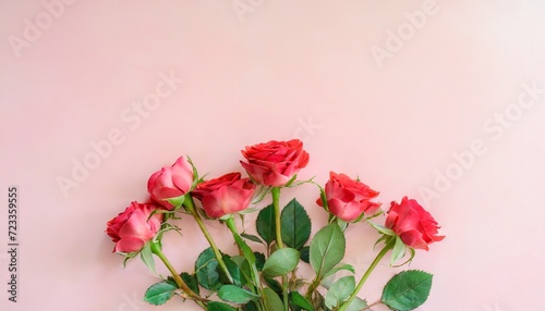 photography of a a bunch of pink red roses on a pink pastel background