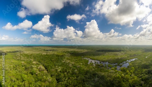 jungle from above calakmul biosphere reserve in yucatan mexico