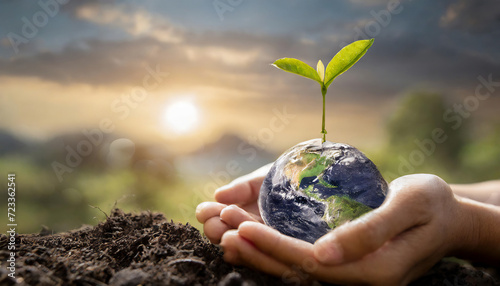 environmentalism globe, earth, world, planet, hands, environment, global, green, concept