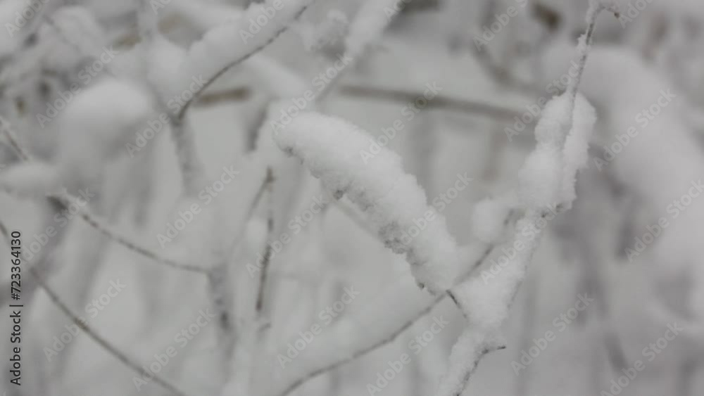 Beautiful scenery of mountains and forests in Korea with heavy snow Beautiful scenery of mountains and forests in Korea with heavy snow