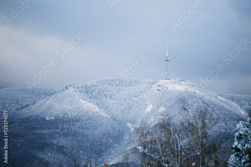 Snowy Vitosha mountain. Kopitoto hill can be seen on the right.