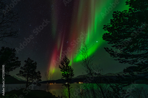 Lofoten North lights