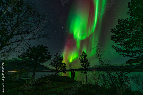 Lofoten Stunning Northern Lights photo