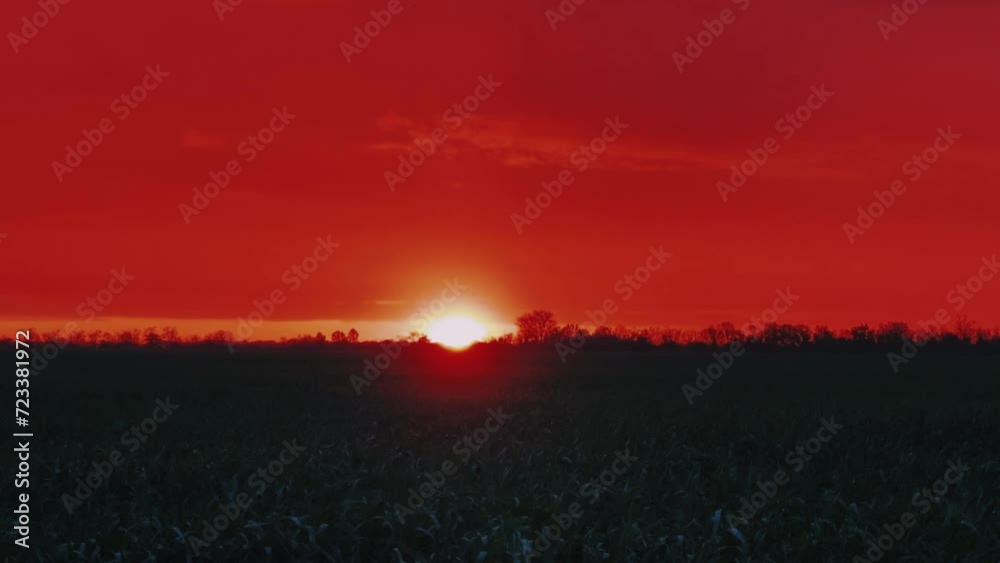 Sunset over a green field in the Stavropol territory. A fiery red sunset in the evening. Sunset with an impressive sky over an agricultural green field. Red glow Sunset over a green field in the Stavropol territory. A fiery red sunset in the evening. Sunset with an impressive sky over an agricultural green field. Red glow