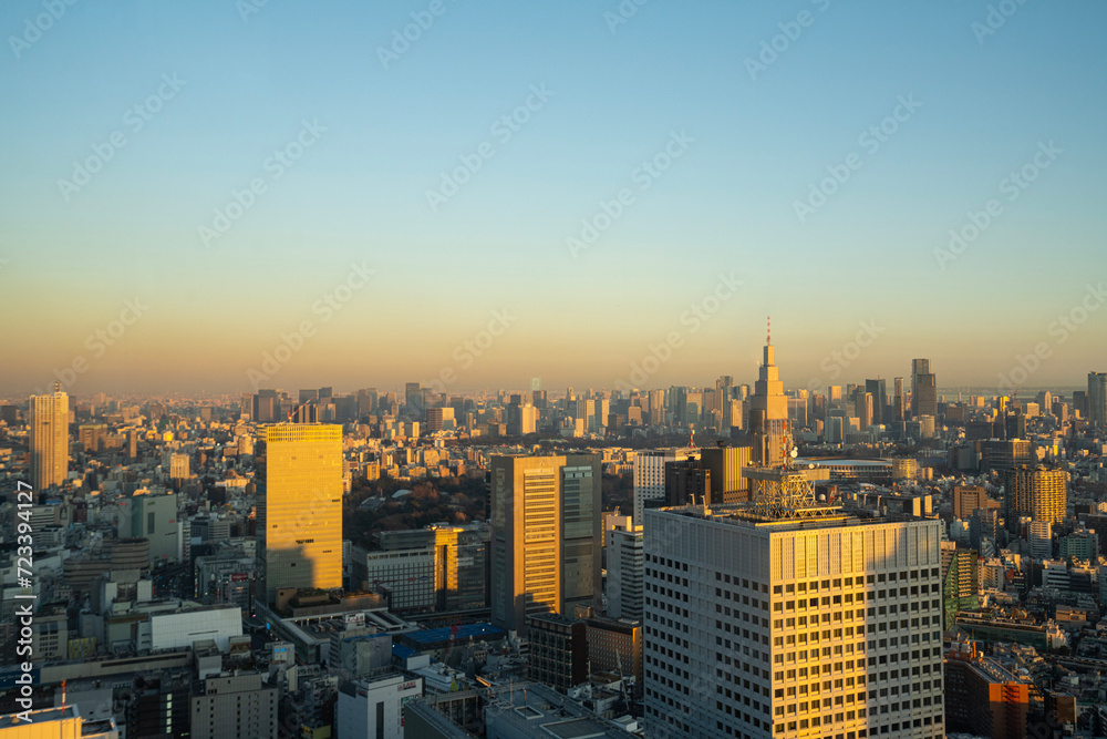 The panorama of Tokyo, Japan
