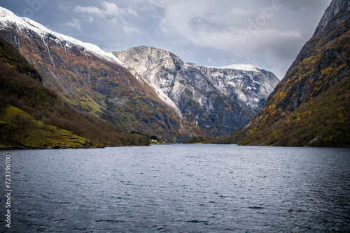 View of the Naeroyfjord from ship, Norway