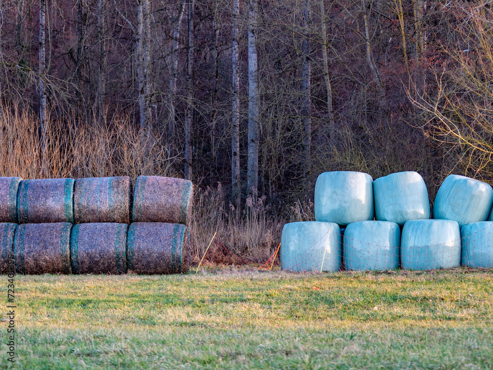 Obraz premium Strohrollen lagern auf einem Feld