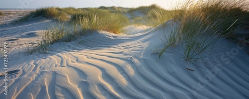 Sand dunes at North sea beach