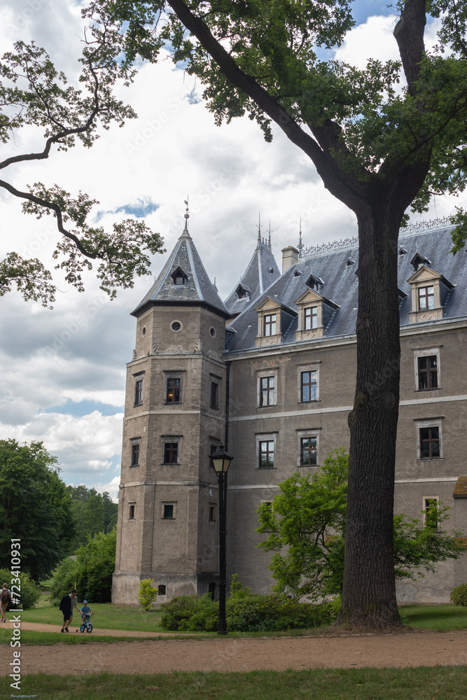 Summer view of Gołuchów Castle (Zamek w Gołuchowie), Wielkopolska, Poland
