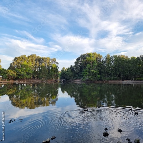 Wallpaper Mural Trees and clouds reflected on the surface of Lake Ginninderra. Belconnen, Canberra ACT Australian Capital Territory Australia Torontodigital.ca