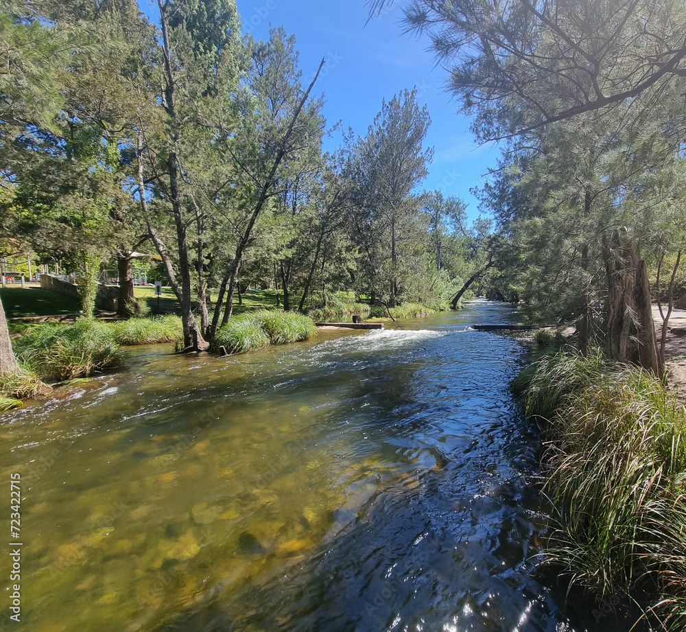 Obraz premium Cotter River in the Australian Capital Territory ACT Australia. Gently flowing river with tree lined banks