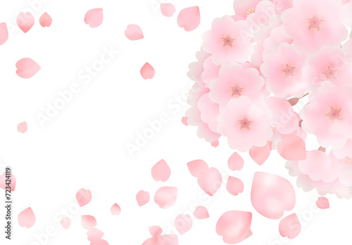 Fototapeta Naklejka Na Ścianę i Meble -  pink cherry blossom