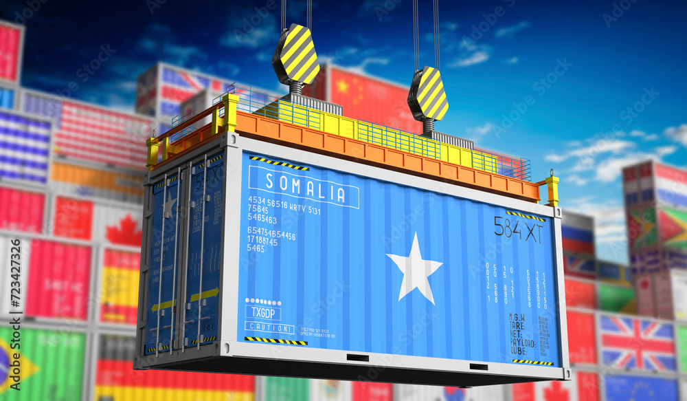 Freight shipping container with national flag of Somalia - 3D illustration Freight shipping container with national flag of Somalia - 3D illustration