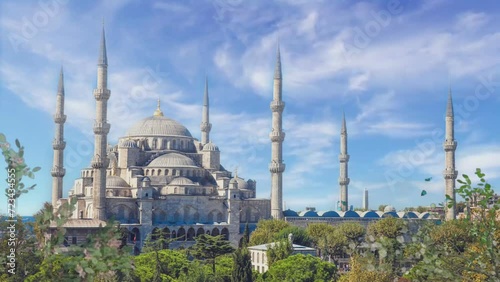 blue mosque city