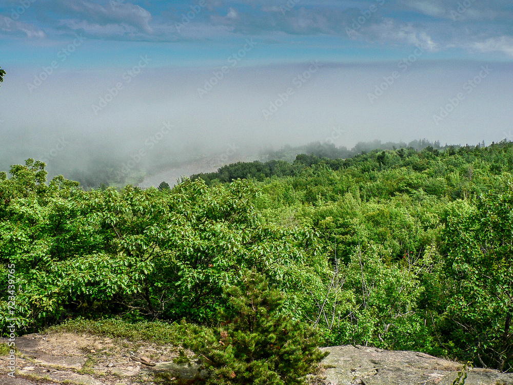 Cloudy, Foggy Day at Acadia National Park in Summer, Maine