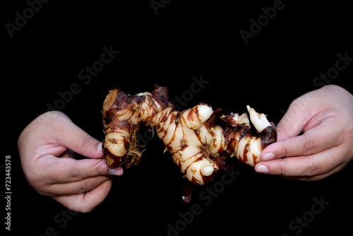 Galangal is a staple herb in Thai cooking and other Southeast Asian cuisines photo