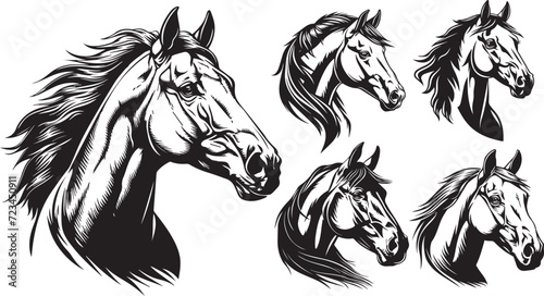Horse heads, black and white vector graphics