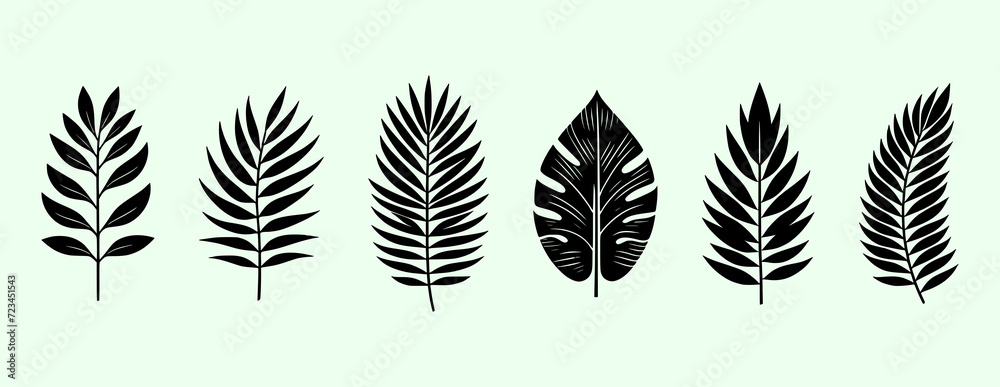 Collection of simple tropical leaves – Exotic plants leaves set Collection of simple tropical leaves – Exotic plants leaves set