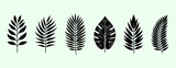 Collection of simple tropical leaves – Exotic plants leaves set