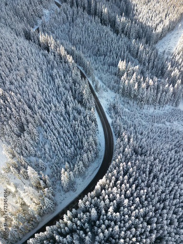 Aerial view of curvy asphalt road through winter forest of Low Tatras mountains, Slovakia. Drone overhead view to tops of pines and fir trees and winding narrow roadway to Demanovska Dolina village © Flash Vector
