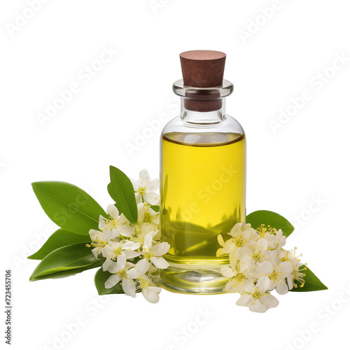 fresh raw organic lemon myrtle oil in glass bowl png isolated on white background with clipping path. natural organic dripping serum herbal medicine rich of vitamins concept. selective focus photo