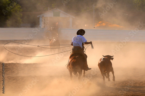 Gaucho lassoing cattle at a dusty rodeo in Rio Grande do Sul, Brazil