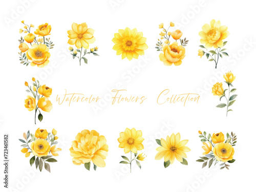 set water color flowers, color yellow very detailed, which is suitable for white background wedding templates