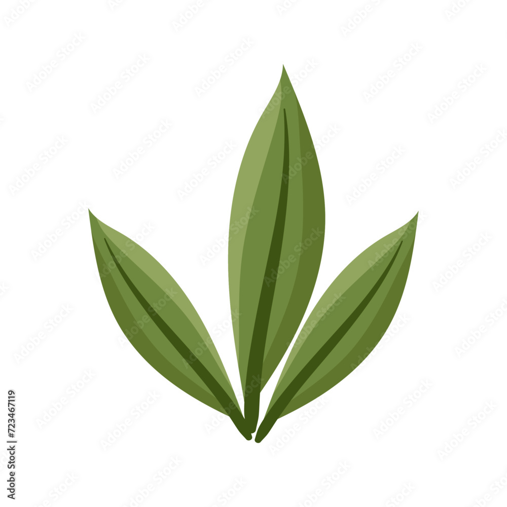 vector branch with green leafs on white background