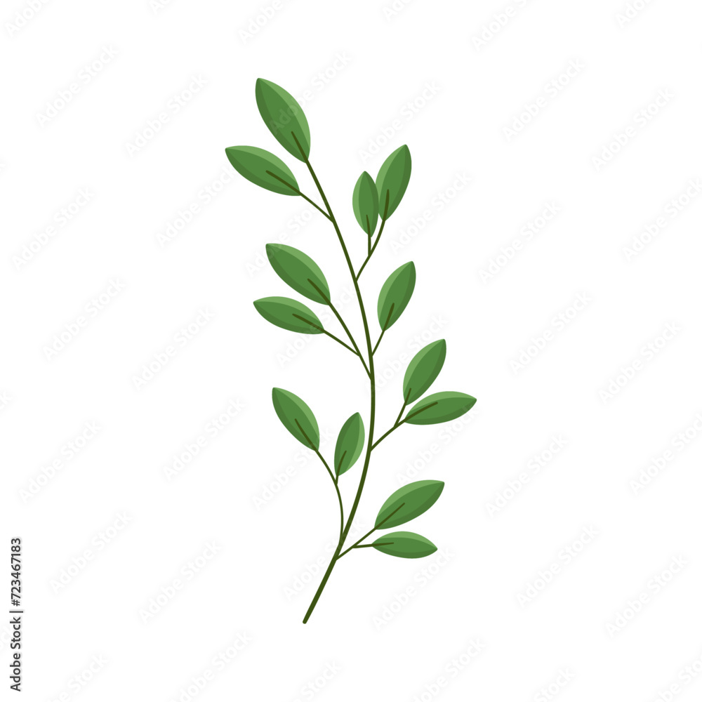 Vector hand drawn branch with leaves isolated on white background