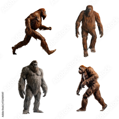 Set of Bigfoot