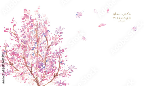                                                                                                                      Watercolor painting. Vector illustration of cherry blossoms in full bloom with watercolor touch. Background of entrance ceremony with dancing cherry blossoms. Sp