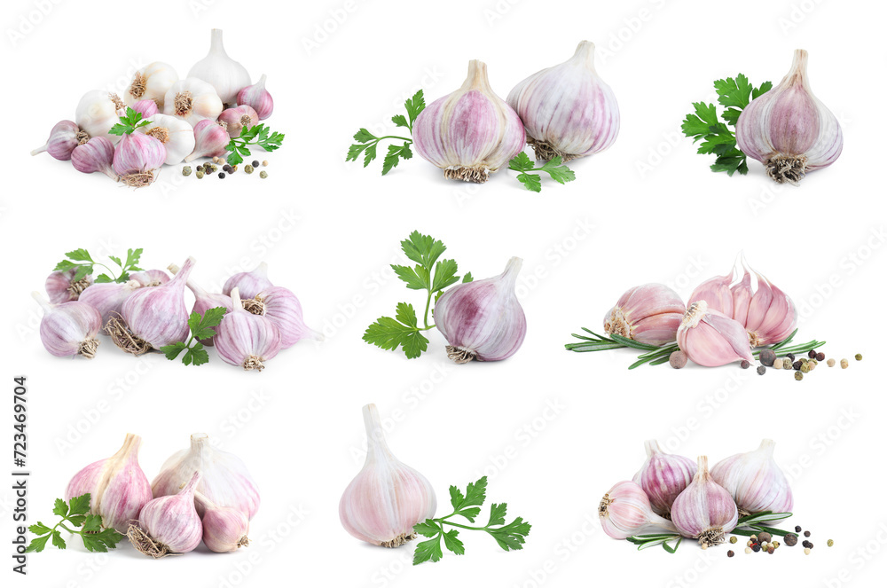 Fresh garlic, peppercorns, parsley and rosemary isolated on white, set Fresh garlic, peppercorns, parsley and rosemary isolated on white, set