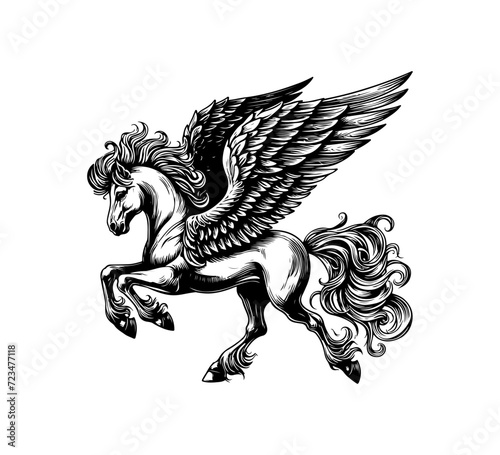 Pegasus hand drawn vector illustration winged horse © AriaMuhammads