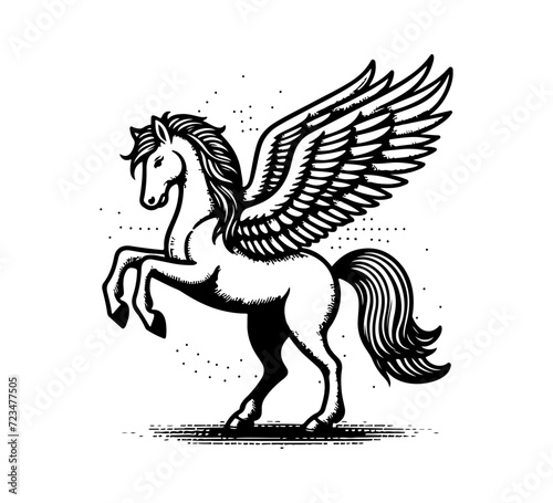 Pegasus hand drawn vector illustration winged horse
