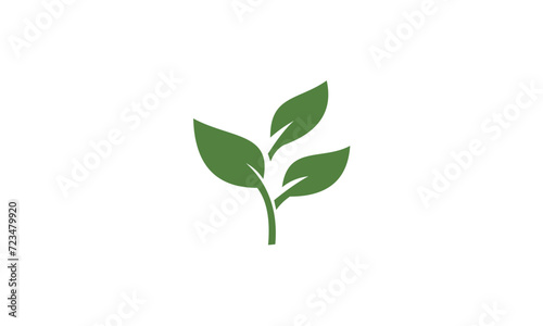 plant isolated on white background © goodskin