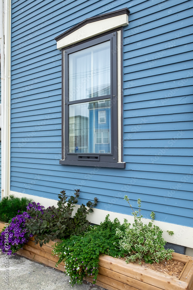 The exterior of a blue colored wooden house with a double hung window. The decorative window trim is navy blue and white. There's a white curtain in the window. There are purple and green flowers.
