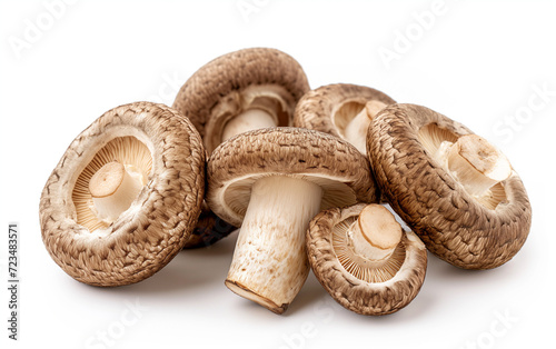 Shiitake Mushrooms isolated on a white background